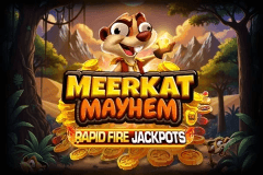 Meerkat Mayhem logo