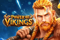Power of Vikings logo