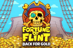 Fortune of Flint: Back for Gold logo