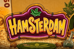 Hamsterdam logo
