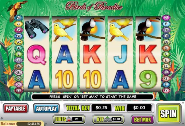 Casino Codes image of Birds of Paradise
