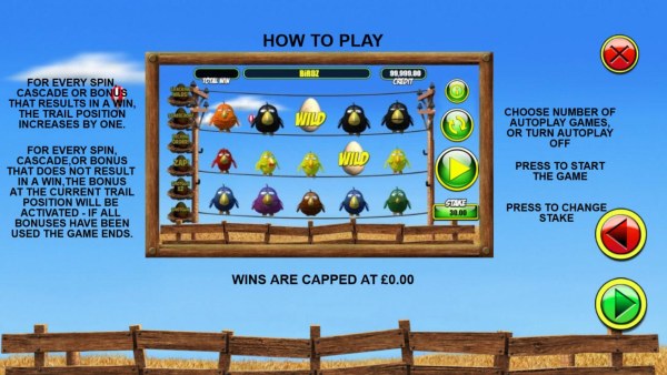 Casino Codes image of Birdz