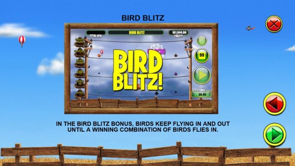 Bird Blitz Rules - Casino Codes