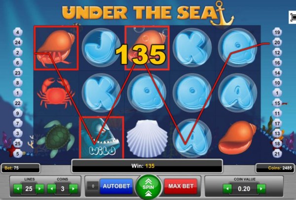 Three of a Kind triggers a 135 coin big win! by Casino Codes