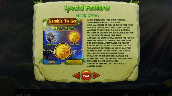 Gamble Feature Rules by Casino Codes