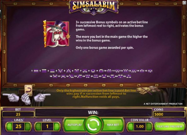 Casino Codes - bonus game rules and payline diagrams