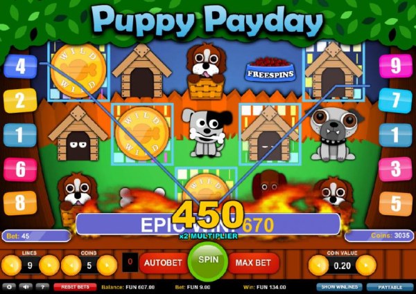 Images of Puppy Payday
