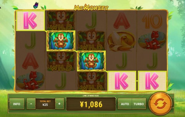 Casino Codes - Multiple winning paylines triggers a big win!