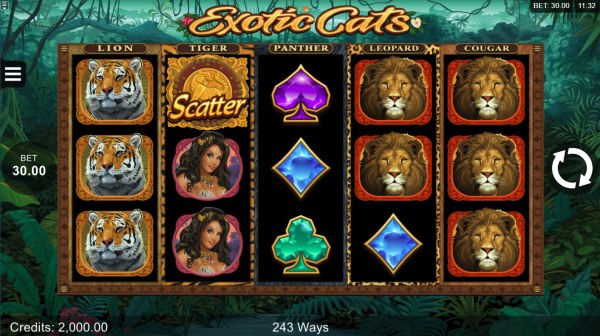 Casino Codes image of Exotic Cats
