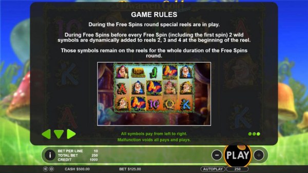 Game Rules - During free spins round special reels are in play. During free spins before every free spin 2 wild symbols are dynamically added to reels 2, 3 and 4 at the beginning of the reel. by Casino Codes