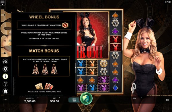 Playboy Gold Online Slot by Casino Codes