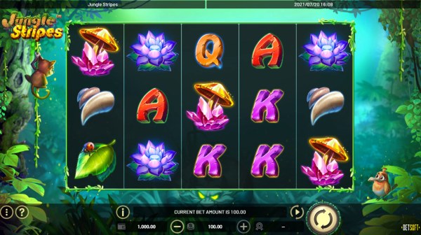 Casino Codes image of Jungle Stripes