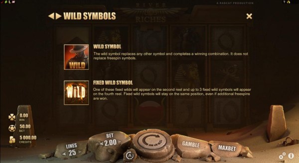 Wild symbol and fixed wild symbol game rules. - Casino Codes