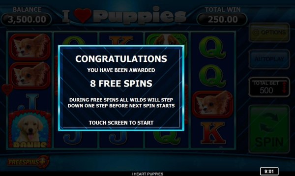 8 free spins awarded - Casino Codes