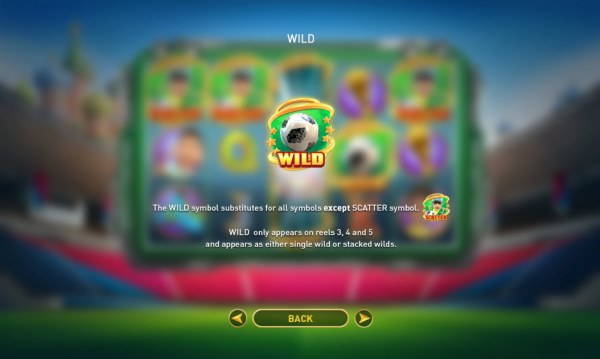 Wild Symbol Rules - Casino Codes