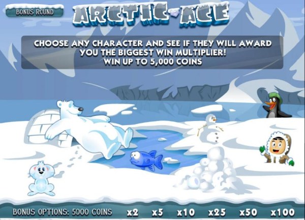 Arctic Ace by Casino Codes