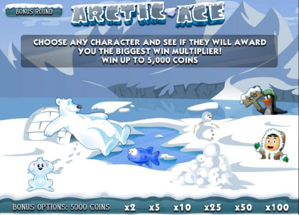 Images of Arctic Ace