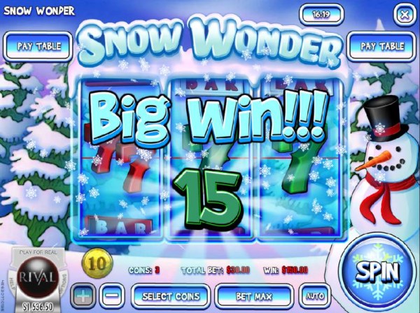 Snow Wonder screenshot