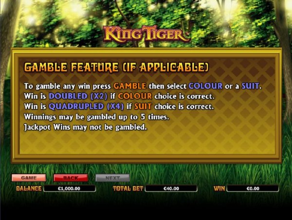 Casino Codes - gamble feature rules