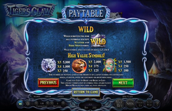 Casino Codes - Wild Symbol Rules