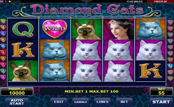 Images of Diamond Cats