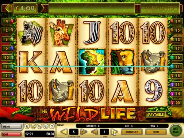 Casino Codes image of The Wild Life