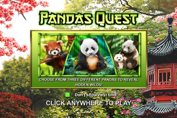 Casino Codes image of Pandas Quest