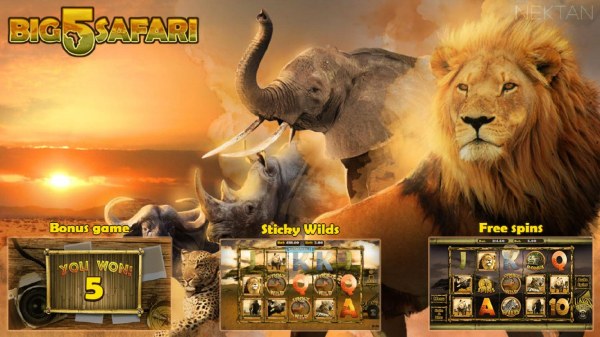 Images of Big 5 Safari