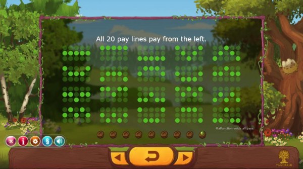 Casino Codes - Payline Diagrams 1-20. All 20 pay lines pay from left to right.