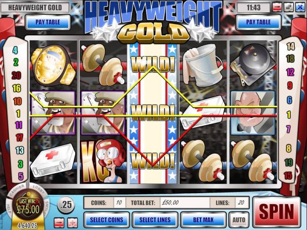 Casino Codes - expanding wild triggers multiple winning paylines
