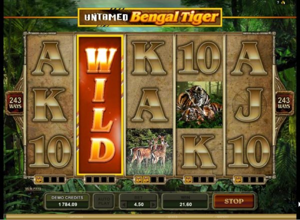 Casino Codes image of Untamed Bengal Tiger