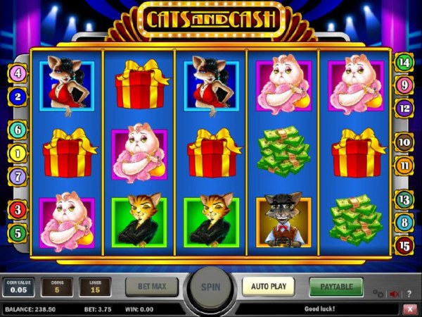 Casino Codes image of Cats and Cash