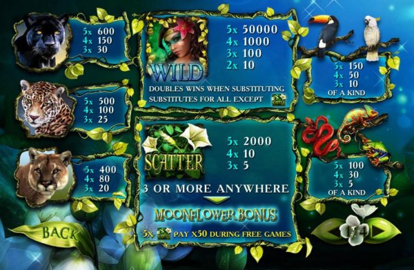 Secrets of the Amazon by Casino Codes