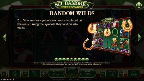 Random Wilds Feature Rules - Casino Codes