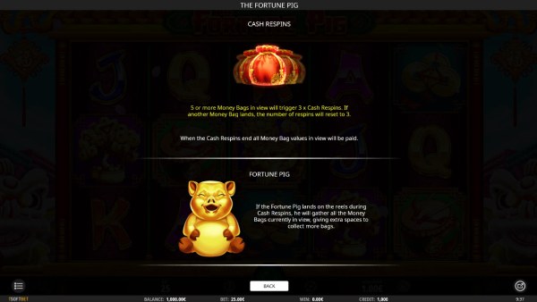 Casino Codes image of The Fortune Pig