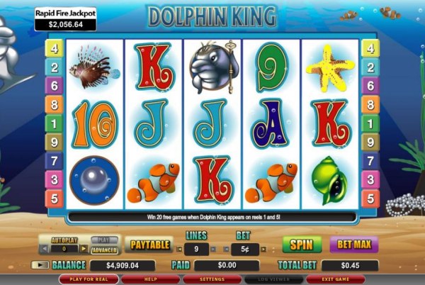 Images of Dolphin King