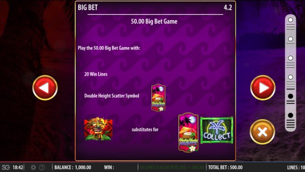 Big Bet Rules - Casino Codes