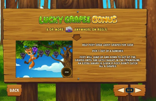 Lucky Grapes Bonus Rules by Casino Codes