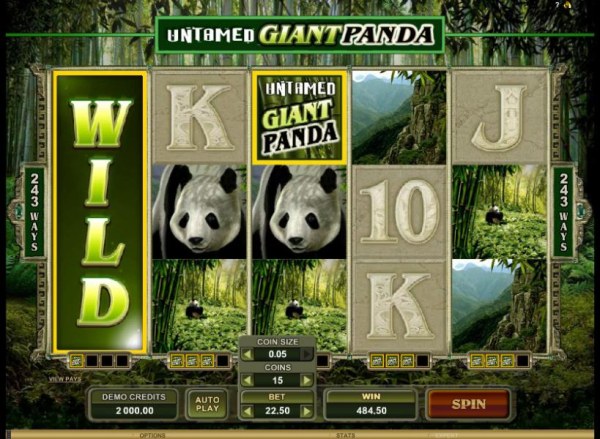Untamed Giant Panda screenshot
