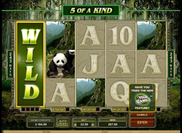 Untamed Giant Panda by Casino Codes