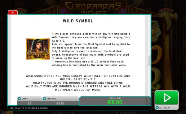 Casino Codes - Wild Symbol Rules - If the player achieves a Reel win on any win line using a wild symbol, they are awarded a multiplier ranging from x2 to x10.
