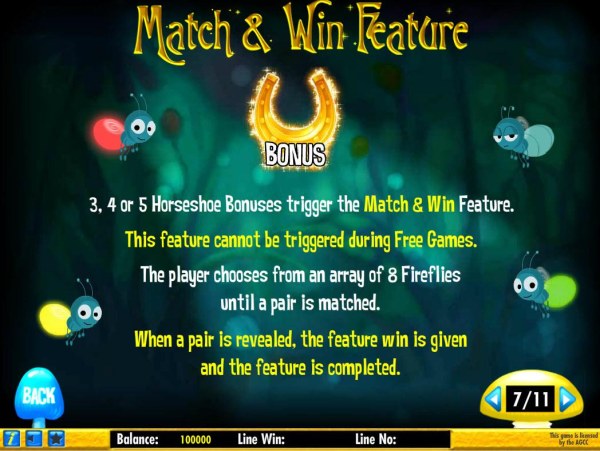 Casino Codes - Match and Win Feature Rules