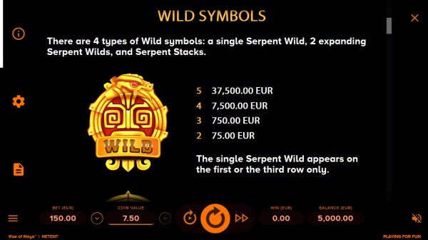 Casino Codes - Wild Symbols Rules