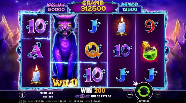 Casino Codes image of Wild Spells