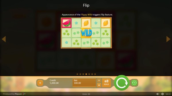 Appearnce of the Flippy Wild triggers Flip Feature. - Casino Codes