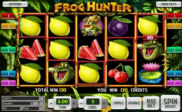 Frog Hunter screenshot