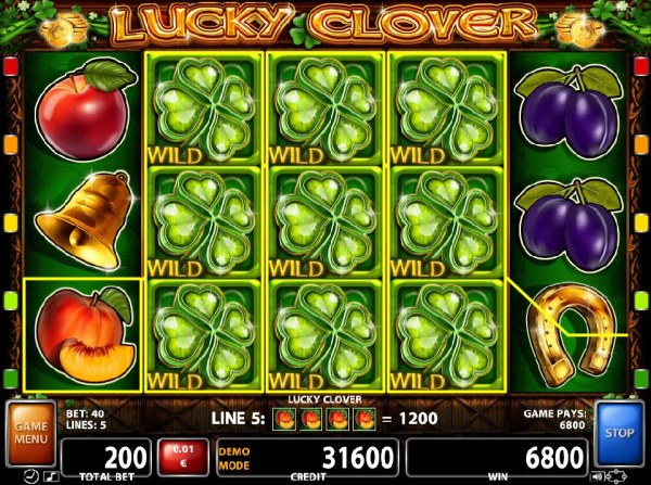 Images of Lucky Clover