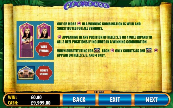 wild and bonus symbol game rules by Casino Codes