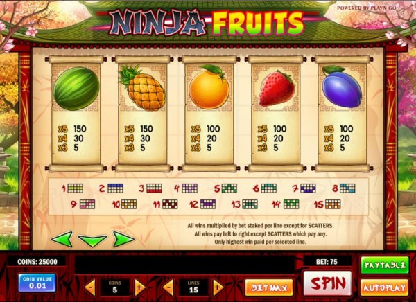 Ninja Fruits by Casino Codes