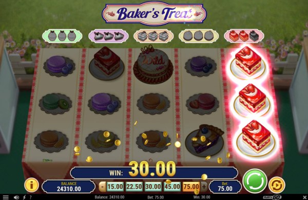 Baker's Treat screenshot